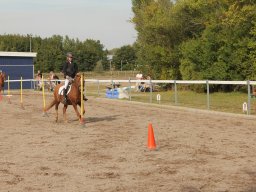 img_7478_web